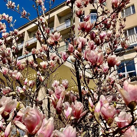 Мармуровий Палац Hotel